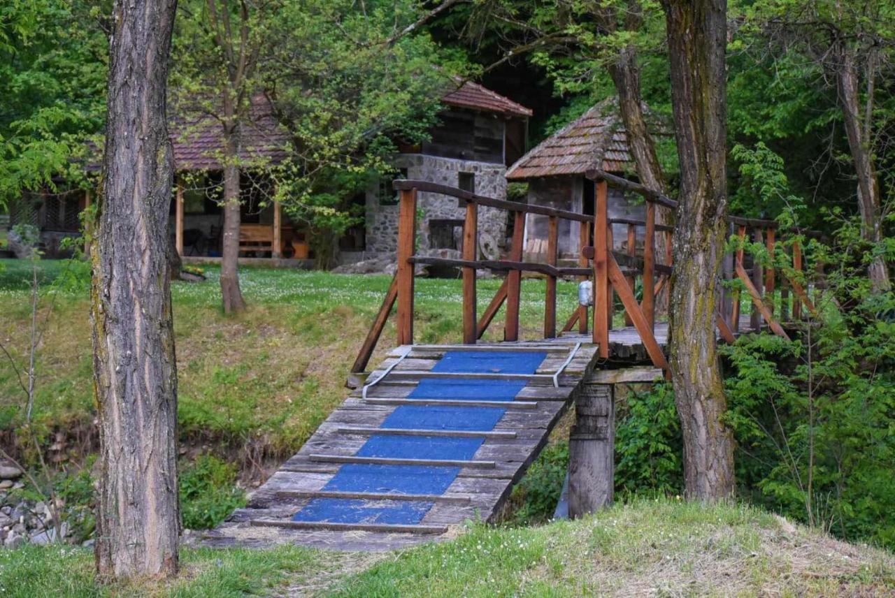 Kuca Za Odmor Todorovica Mlin Villa Gornji Milanovac Bagian luar foto