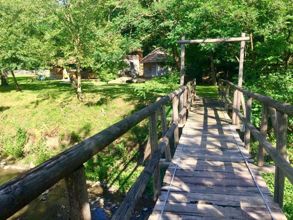 Kuca Za Odmor Todorovica Mlin Villa Gornji Milanovac Bagian luar foto