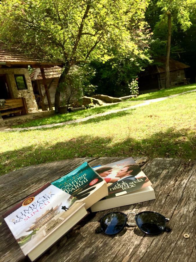 Kuca Za Odmor Todorovica Mlin Villa Gornji Milanovac Bagian luar foto