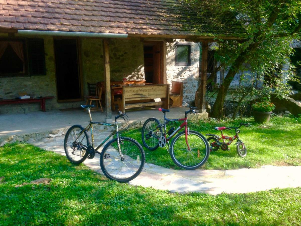 Kuca Za Odmor Todorovica Mlin Villa Gornji Milanovac Bagian luar foto